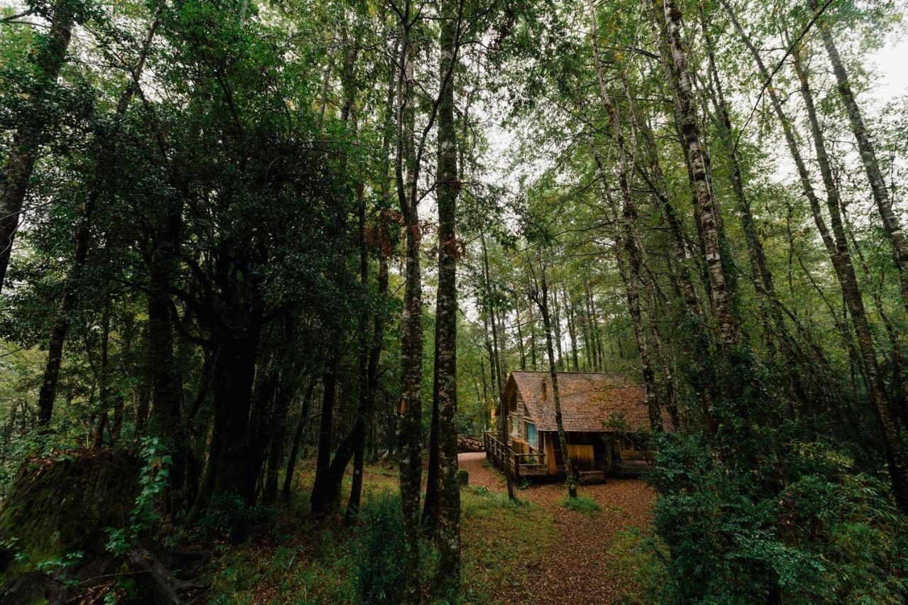 回罗回罗山林小屋 富伊港 客房 照片